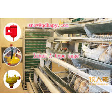 Professional Chicken Cages in Poultry House in Hot Sale